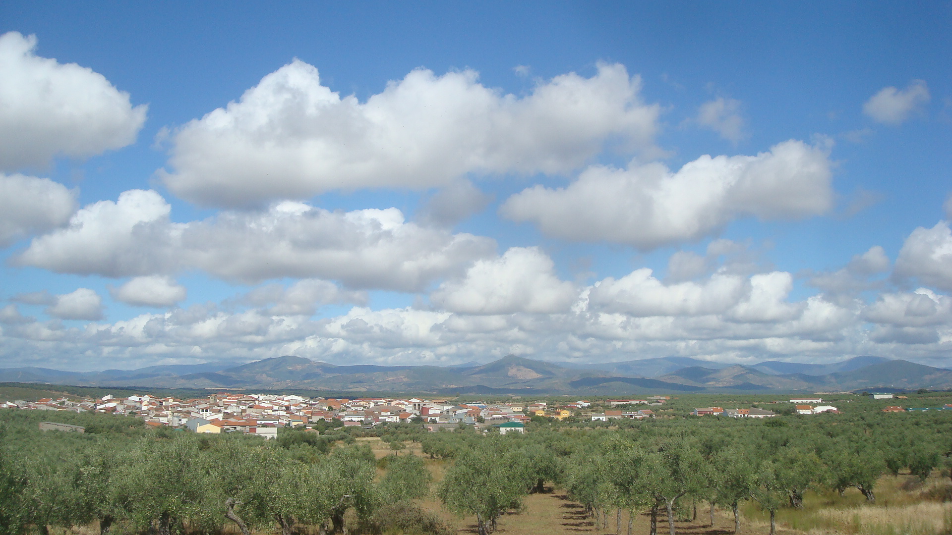 Solidario